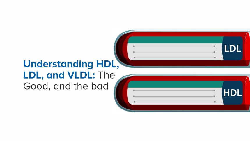 Understanding HDL, LDL, and VLDL: The Good and The Bad